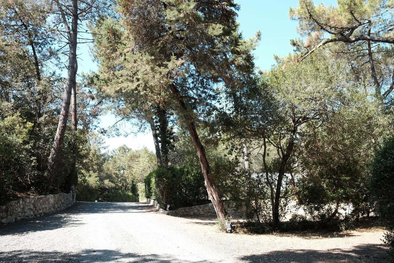 Camping Casa Di Caccia Marina Di Bibbona Exterior foto