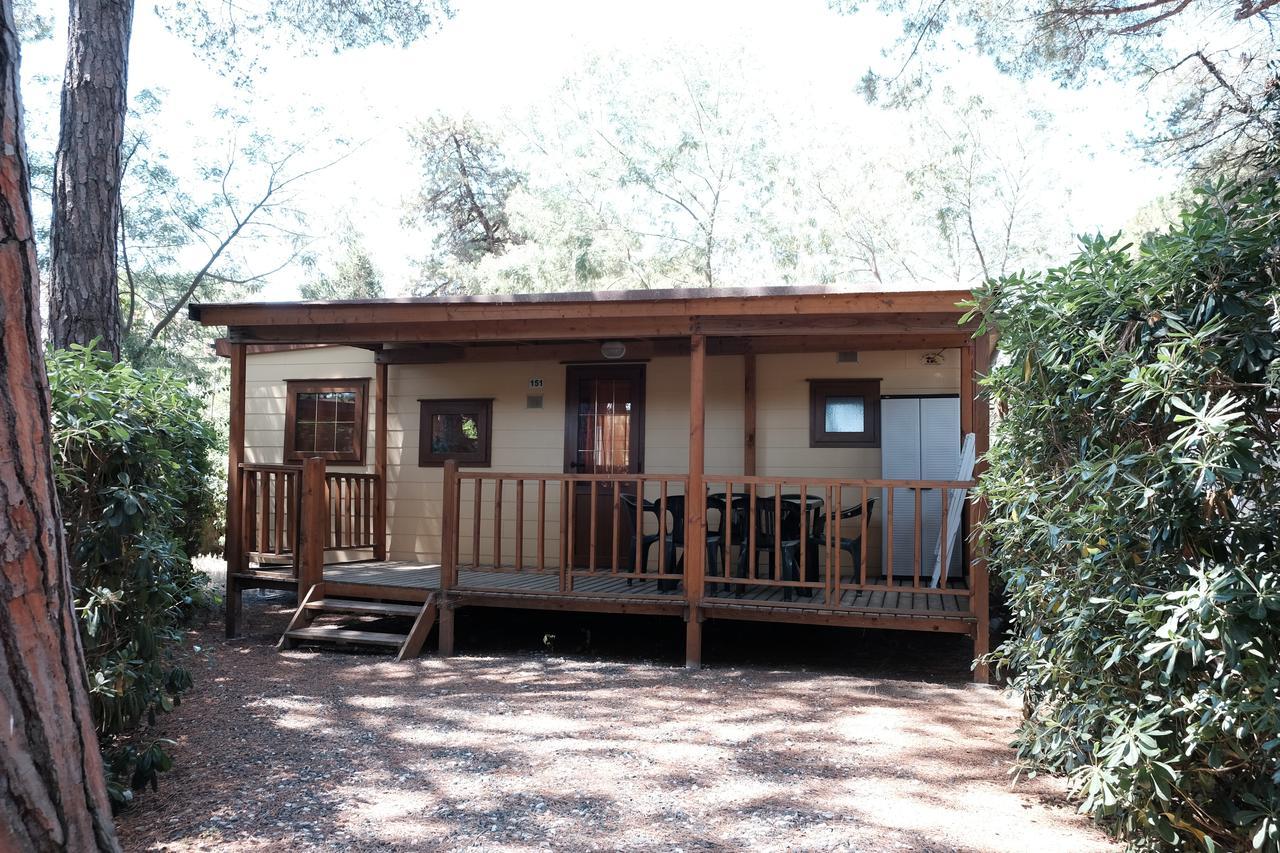 Camping Casa Di Caccia Marina Di Bibbona Exterior foto